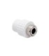 RTP Racord cu semiholender PPR filet interior Ø 25-3/4