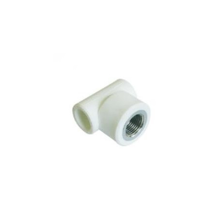 Teu PPR FI Ø 20x3/4”